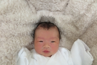4月生まれの赤ちゃん